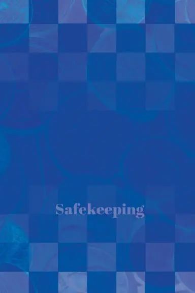 Safekeeping Password Organizer 1
