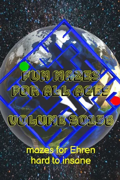 Fun Mazes For All Ages Volume 30156: Mazes For Ehren Ñ Hard To Insane 1