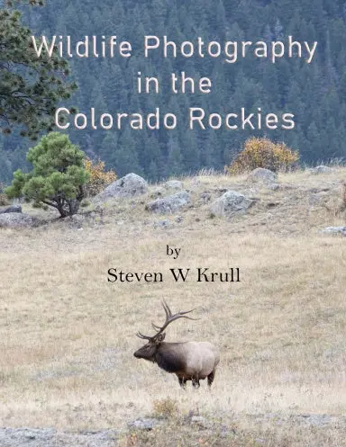 Wildlife Photography In The Colorado Rockies 1