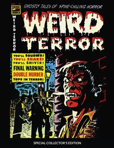Weird Tales Of Terror Pre Code Horror Comics & Magazine 1