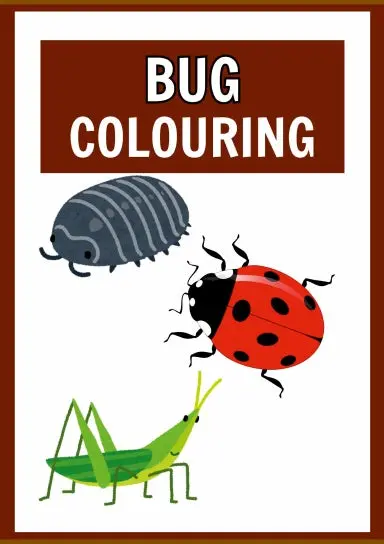 Bugs Colouring Book 1