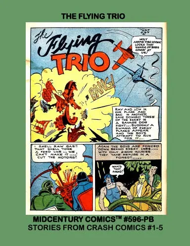 The Flying Trio (Paperback Edition) 1
