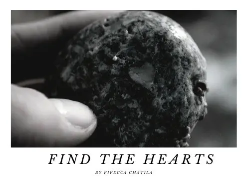 Find The Hearts 1