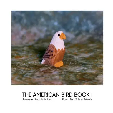 The American Bird Book I 1