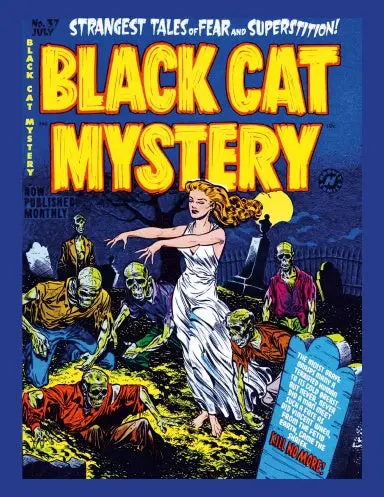 Black Cat Mysteries Strange Tales Of Fear And Superstition Pre Code American Horror Comics 1