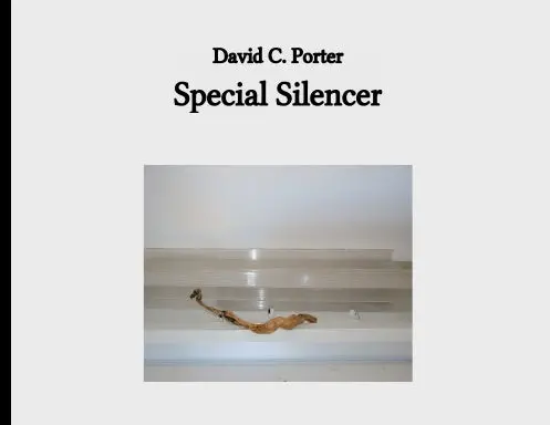 Special Silencer 1