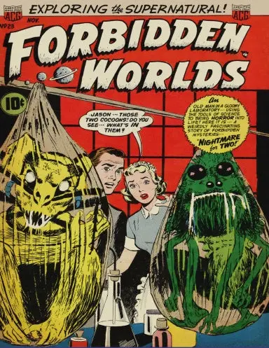 Forbidden Worlds #23 1